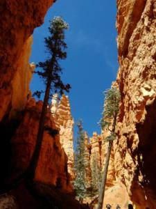 OuestUSA-date (4589)