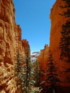 OuestUSA-date (4592)