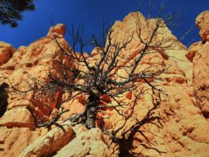 OuestUSA-date (4695)