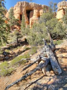 OuestUSA-date (4703)