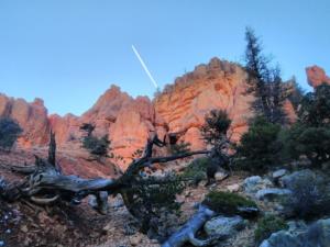 OuestUSA-date (4713)