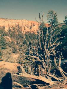 OuestUSA-date (4727)