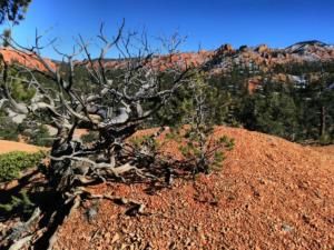 OuestUSA-date (4734)