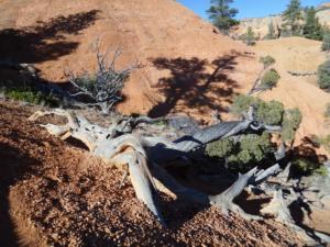 OuestUSA-date (4745)