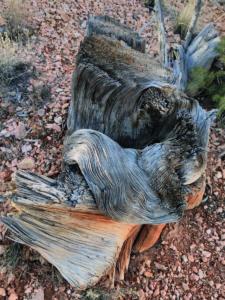 OuestUSA-date (4777)