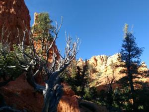 OuestUSA-date (4780)