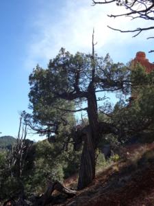 OuestUSA-date (4781)