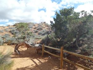 OuestUSA-date (3461)