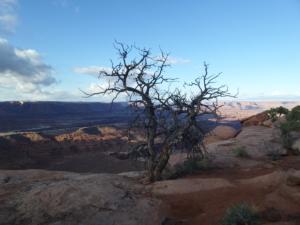 OuestUSA-date (3543)