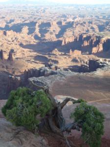 OuestUSA-date (3609)