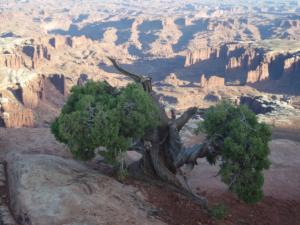 OuestUSA-date (3613)