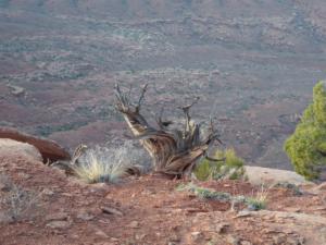 OuestUSA-date (3631)