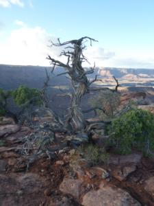 OuestUSA-date (3632)