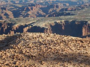 OuestUSA-date (3639)