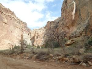 OuestUSA-date (3973)