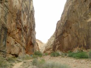 OuestUSA-date (3991)