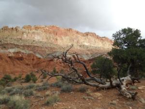 OuestUSA-date (4007)