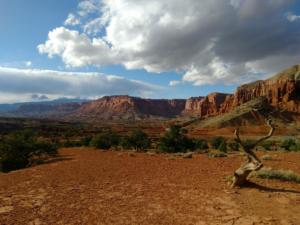 OuestUSA-date (4025)