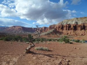 OuestUSA-date (4027)