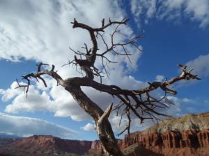 OuestUSA-date (4030)