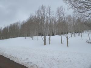 OuestUSA-date (4053)