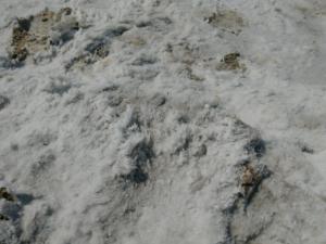 OuestUSA-date (1092)