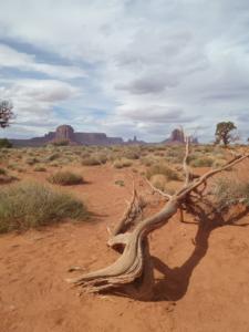 OuestUSA-date (2852)