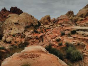 OuestUSA-date (5499)